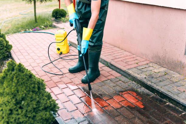 Best Animal Enclosure Cleaning  in Ennis, TX